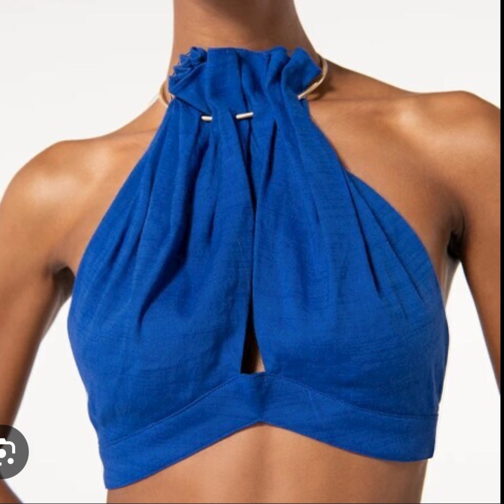 Cult Gaia Anahita Top in Persian Blue